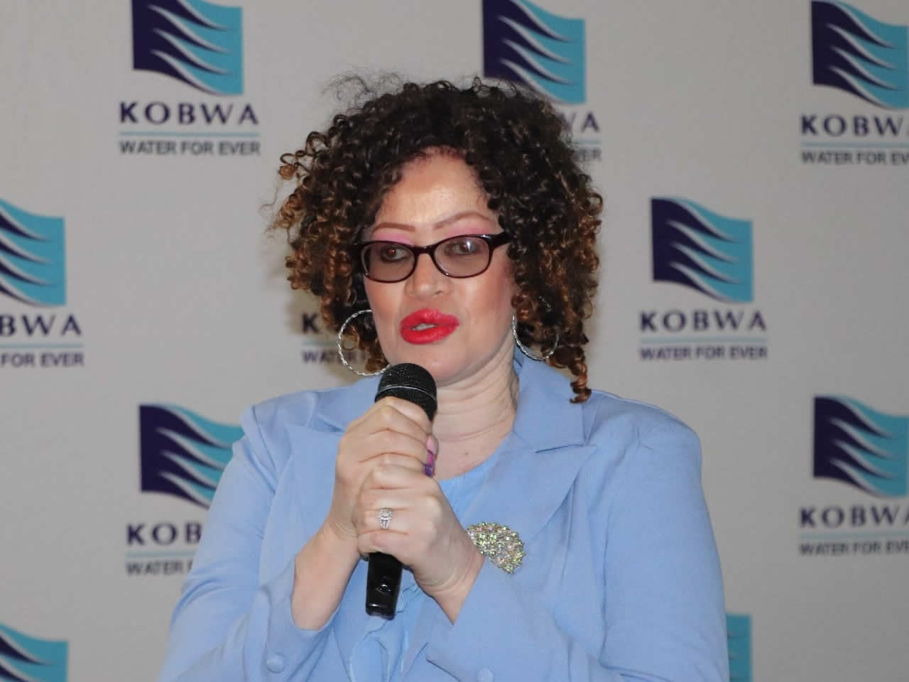 KOBWA Treaty Review Public Consultations Begin